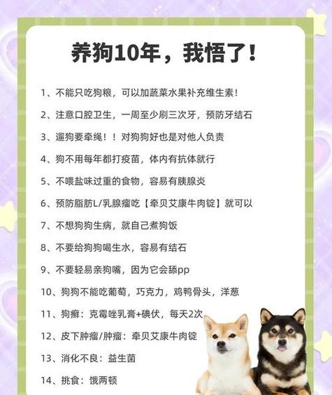 养狗真的能改变家里的风水吗？