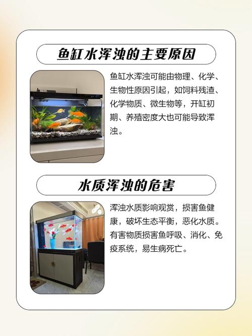 风水石养鱼时鱼缸内会不会因为水流循环导致氧气不足？