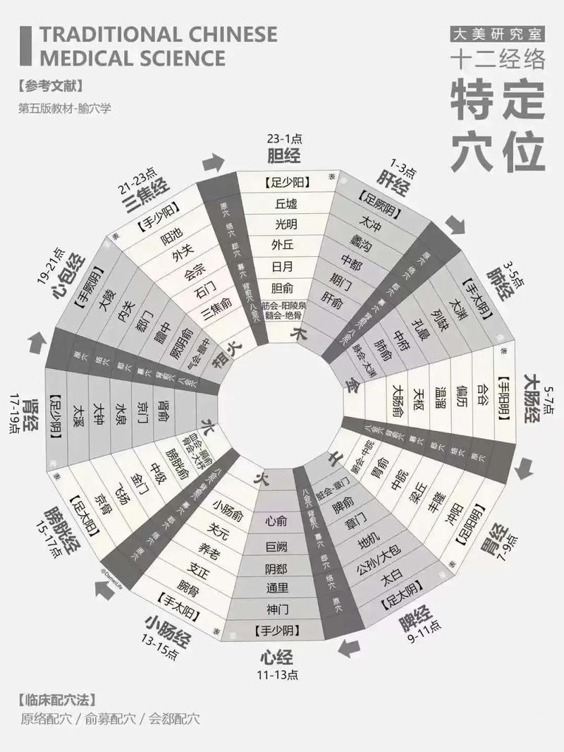 中医理论中，风水元素对健康有何关联性？