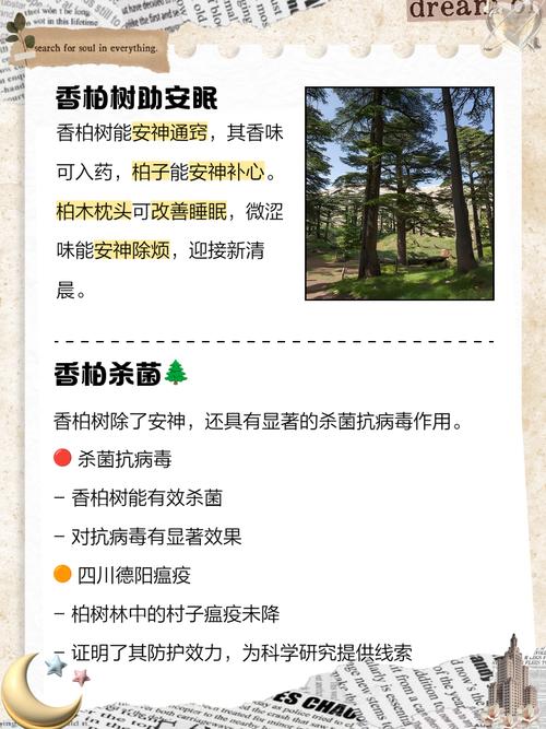 风水门前种柏树有什么好处？