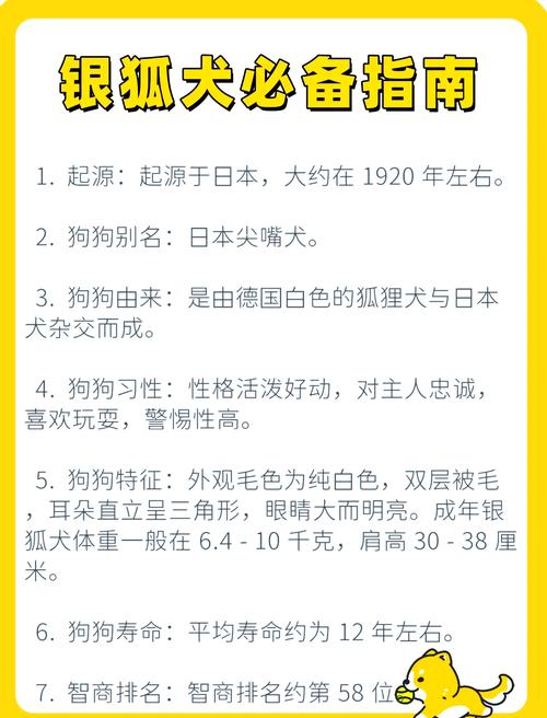 灯头火命的人适合养什么宠物？如何改善火命缺什么的情况？