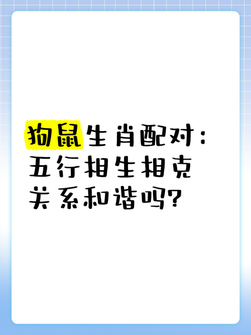 属狗的人在鼠年命运如何？狗与鼠相克还是相生？