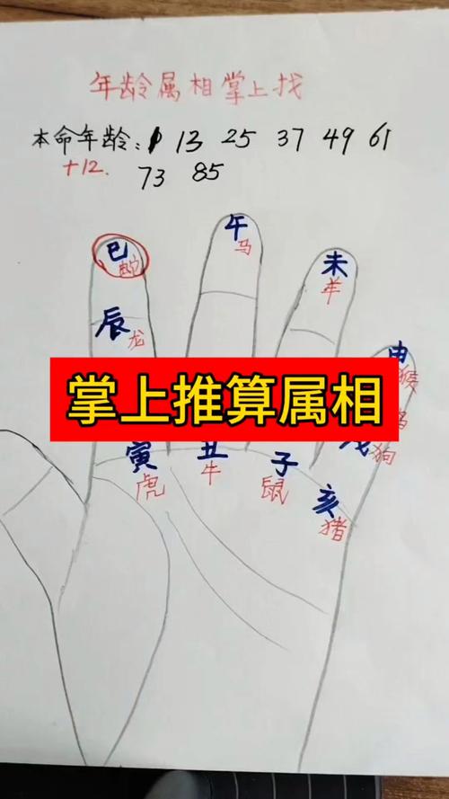 如何根据具体算法确定人的生肖命理？算命方法有哪些分类？