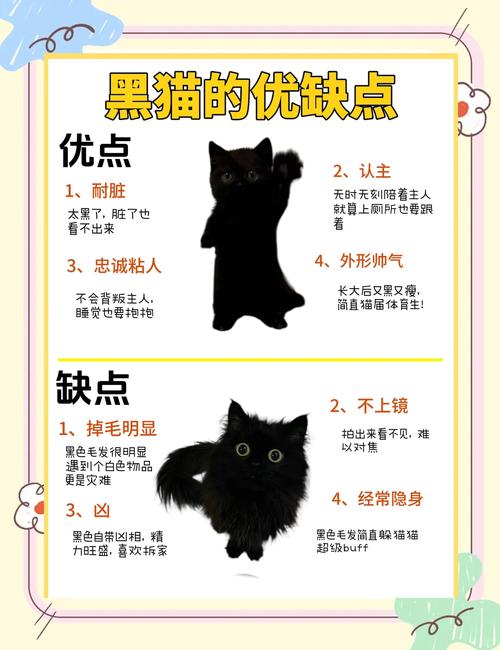 黑猫挂件对家居风水有怎样的影响或作用？