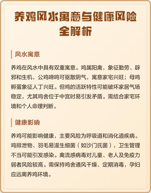 院子里养母鸡会对风水产生怎样的影响呢？
