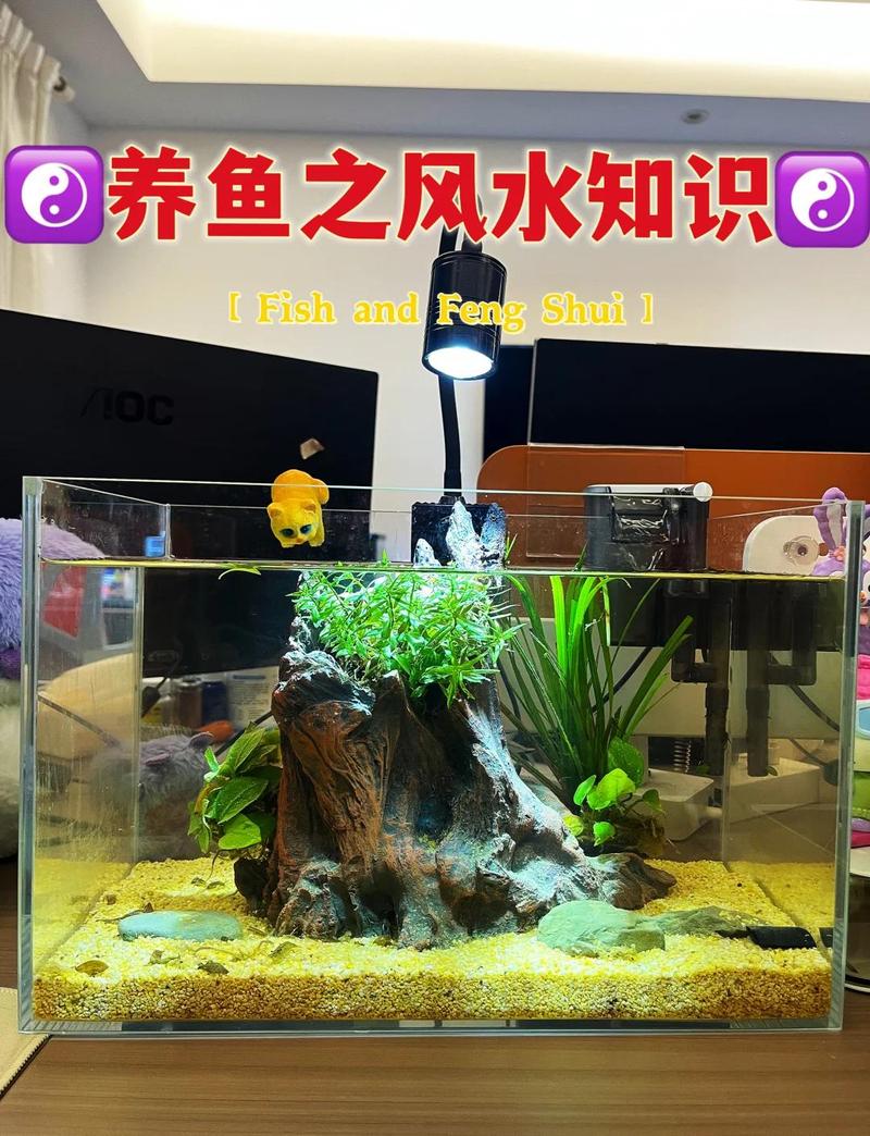 水族箱养鱼的风水讲究有哪些，对家居环境有影响吗？