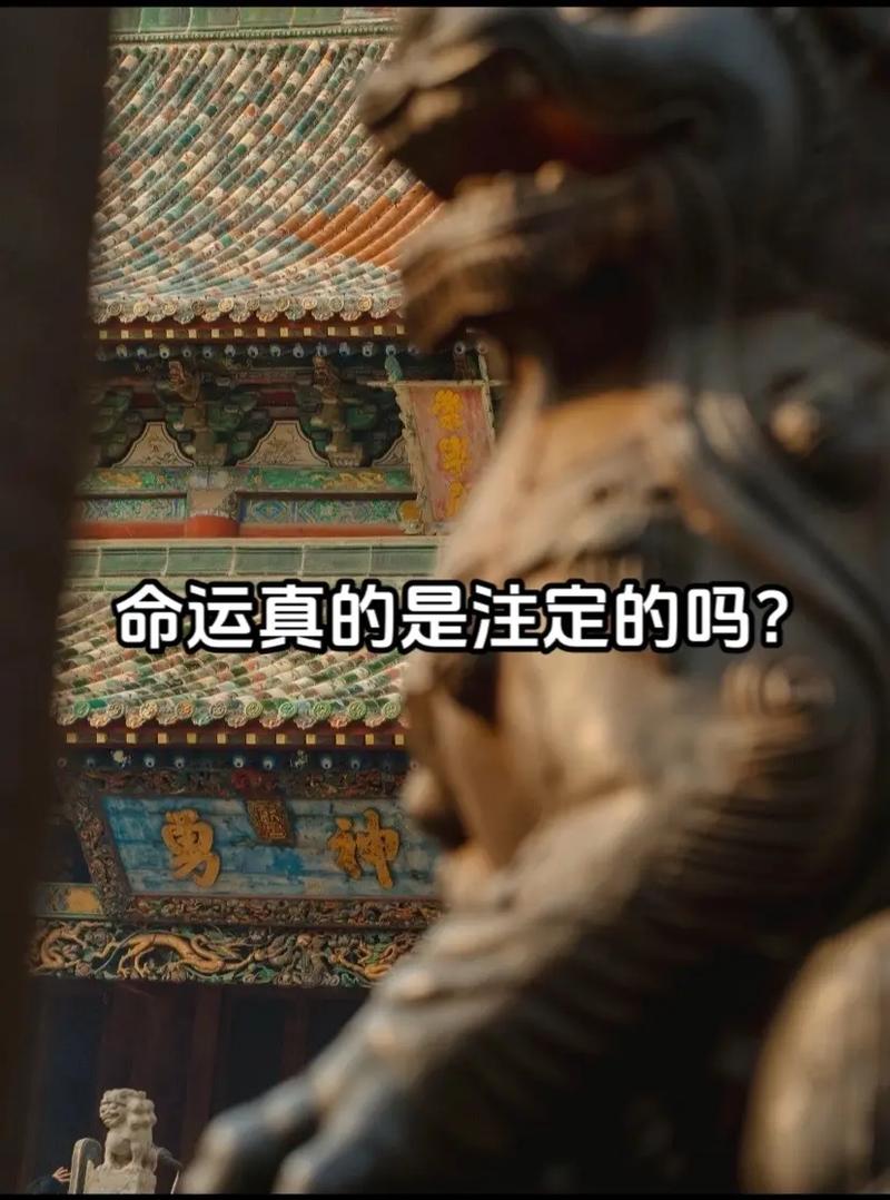 命真的注定比什么都重要吗？这命运是天生注定的吗？