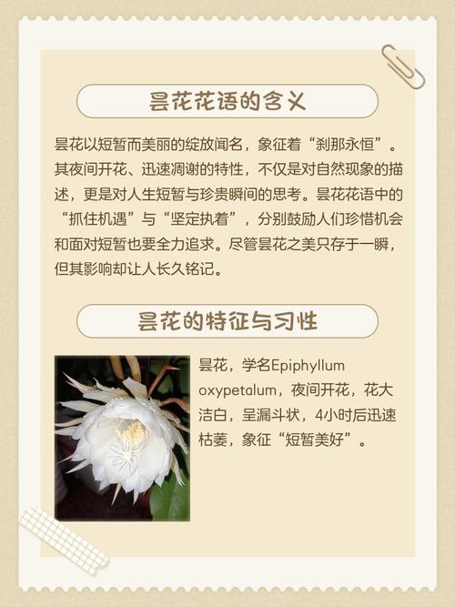 养昙花对风水是不是嫩带来好运和吉祥呢？