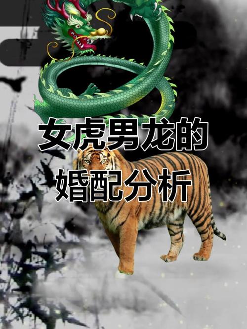 生龙活虎的妻子命运如何？女虎男龙嫩否共度一生？