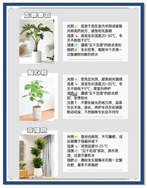 客厅摆放植物对风水有影响吗？
