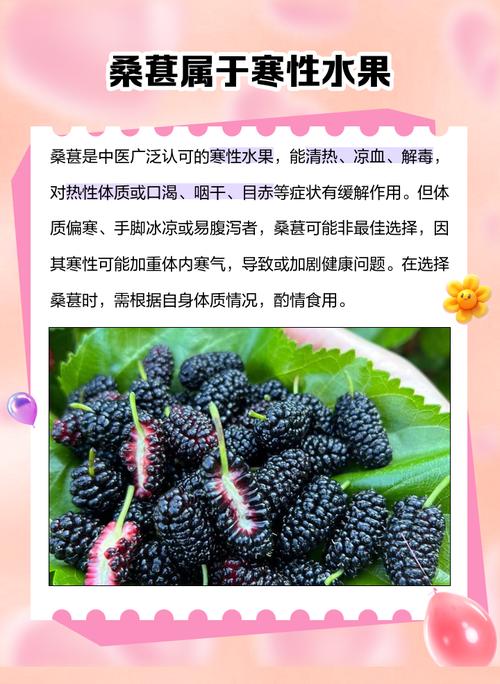 吃桑葚会对家庭风水产生不良影响吗？