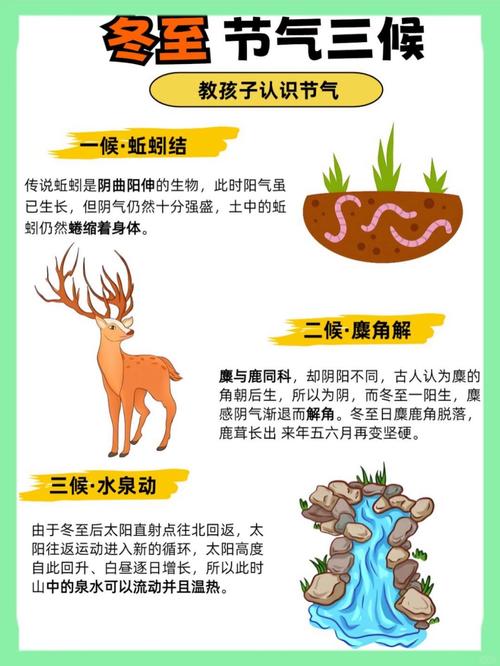 冬至当天出生的孩子命运如何？孩子出生时是否应避开冬至？