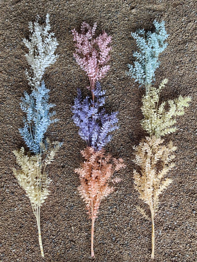 家里摆放干鲜花对风水有影响吗？