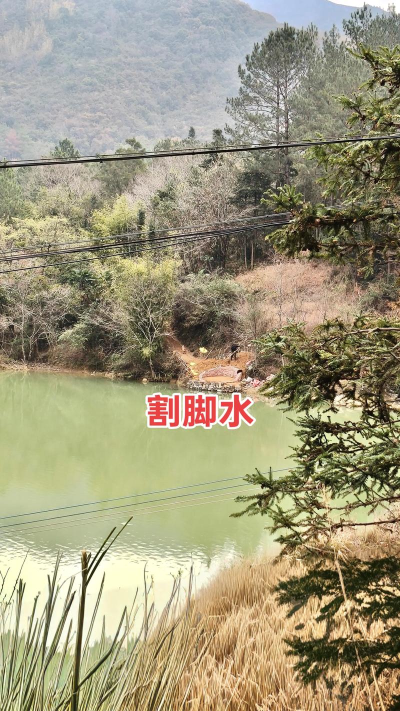 风水塘铺水泥会影响风水效果吗？