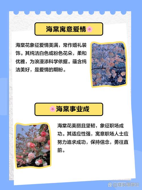 海棠对家居风水有何具体影响和作用？