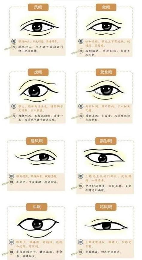 女人长桃花眼，命运桃花更旺的说法有依据吗？