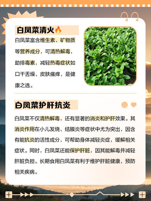 门口种植小白菜对风水有影响吗？