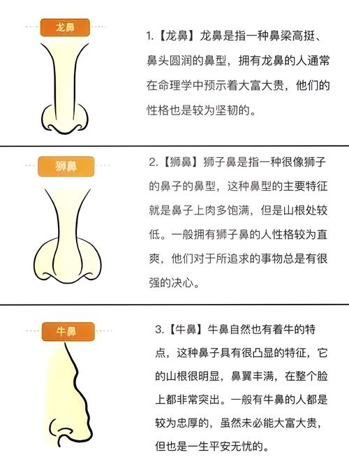风水上鼻子可以自由活动吗？