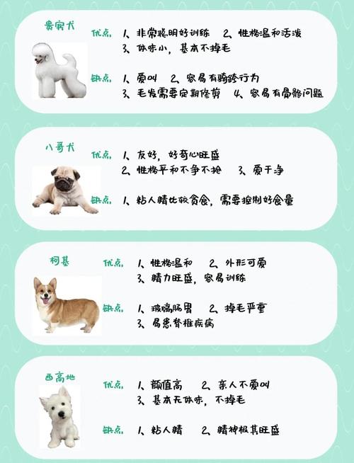 涧下水命适合养什么宠物？如何根据其命理特点进行宠物选择？