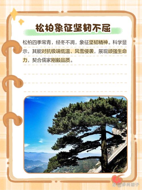 松柏命代表什么含义？松柏木命最忌讳什么？如何化解？