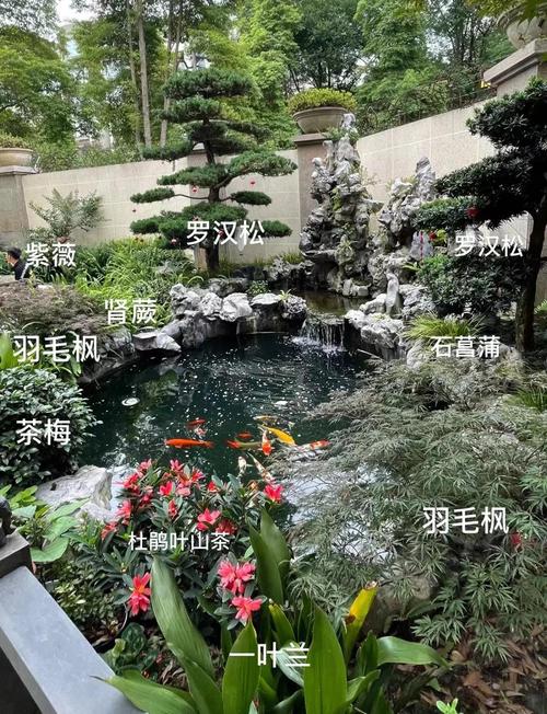 鱼池风水注意事项有哪些具体细节需要特别注意？