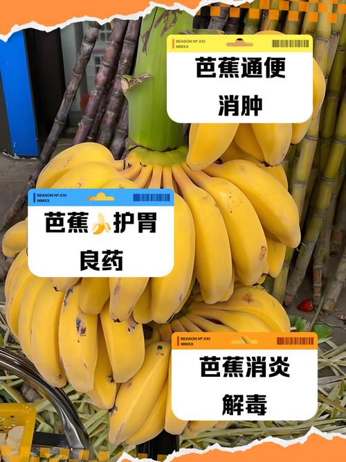 种芭蕉真的有影响风水的说法吗？