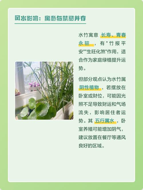 水竹养殖在风水上有哪些讲究或禁忌？