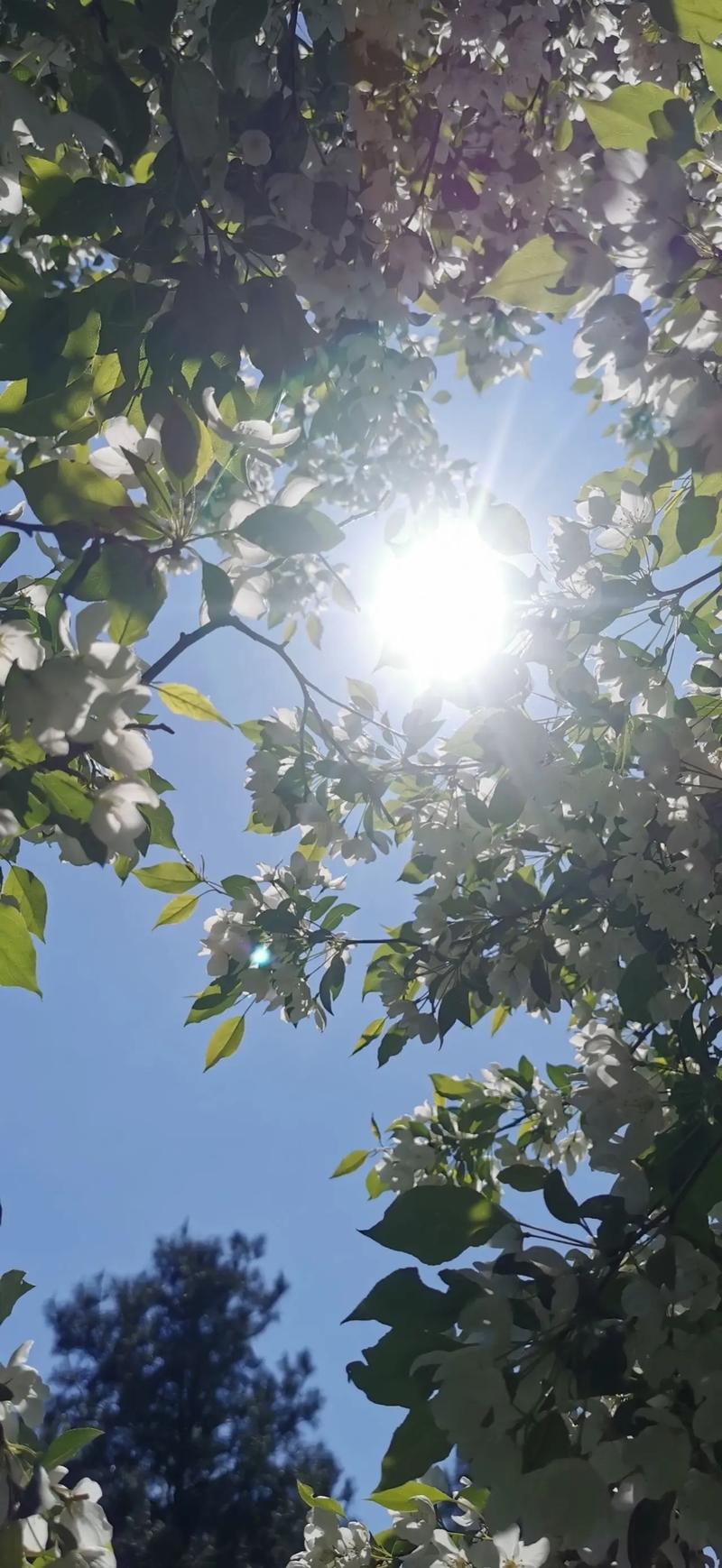 童子命相遇童子命，会发生怎样的命运转折呢？