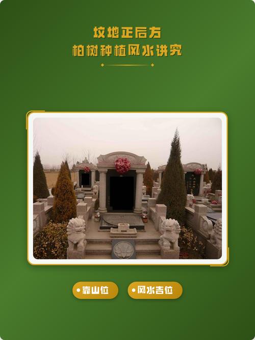 坟墓周围种植树木会对风水产生怎样的影响呢？