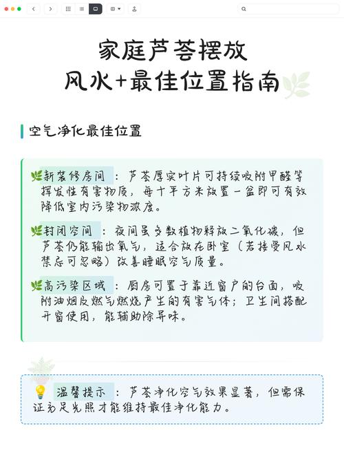 家里摆放芦荟对风水有影响吗？适合养芦荟吗？