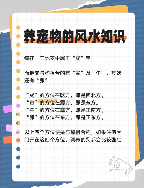 狗狗生病是否与风水有关联，这其中有怎样的说法呢？