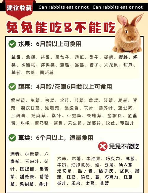 1963年属兔的人是什么命，应该吃什么菜？