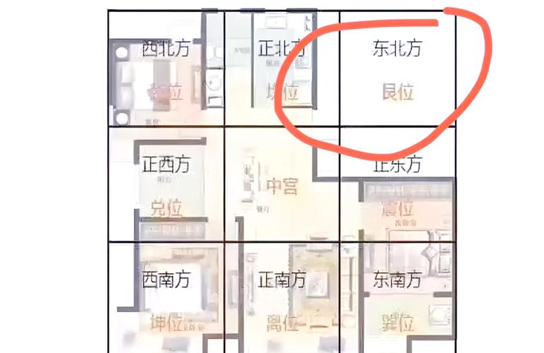 风水布局不当是否会导致居住者出现鼻炎症状？