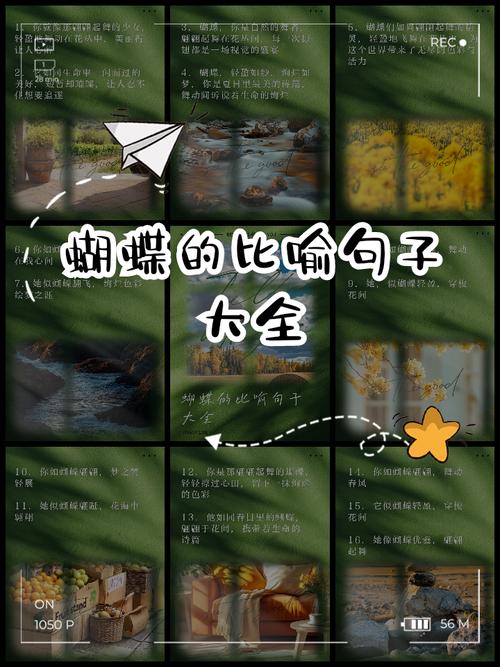 蝴蝶双飞和双蝴蝶命改写为长尾是什么命意味着双蝴蝶或蝴蝶双飞？