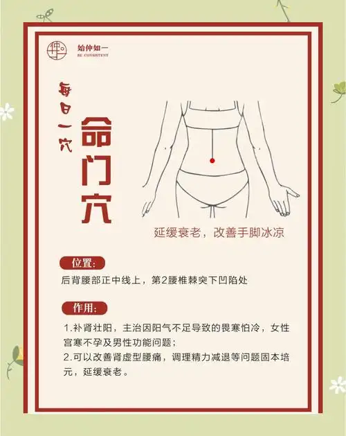 乾命女性最佳命运是什么？女人的命门位于何处？