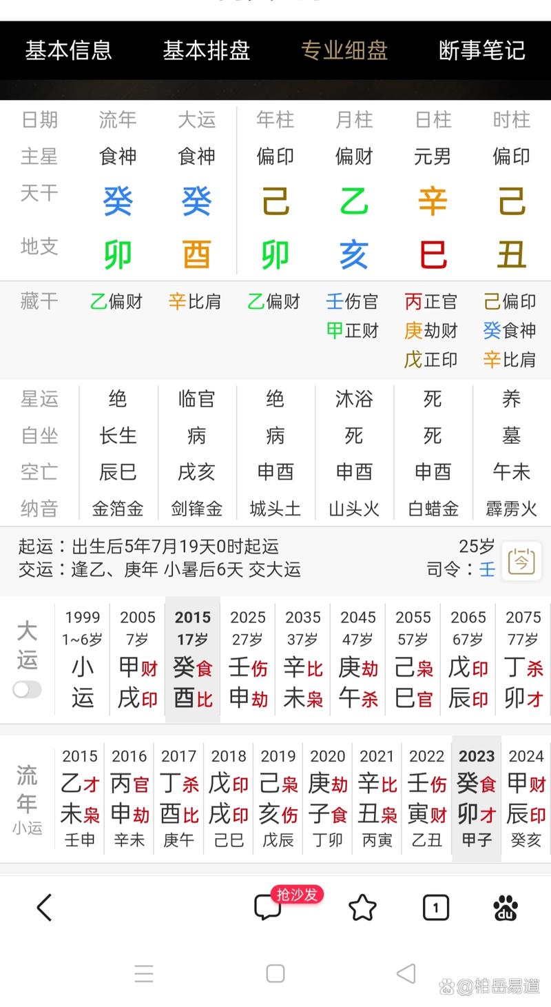 1999年农历出生的人是什么命？