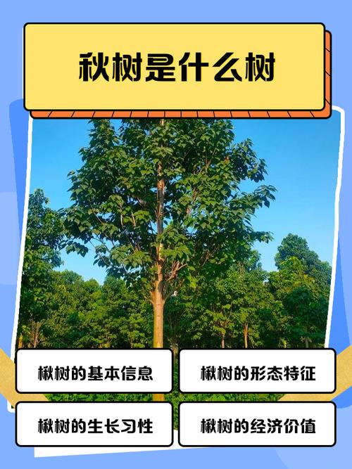 秋天是否必须砍伐风水树？