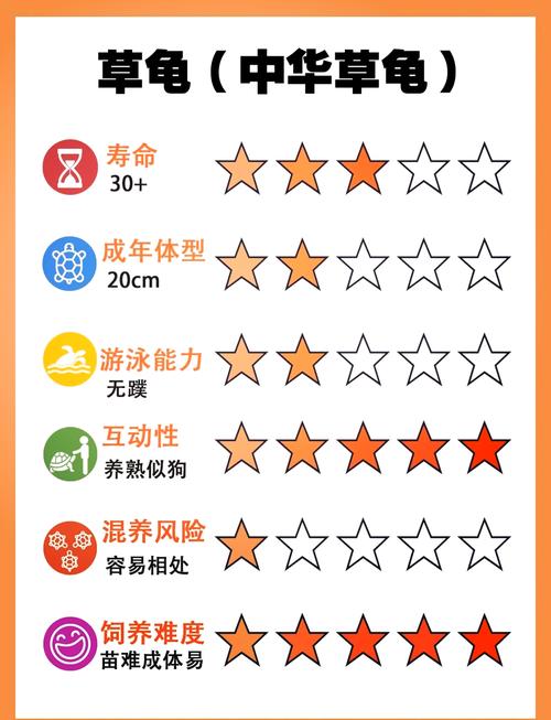 马路边适合养龟吗？这样的风水环境对龟来说好吗？