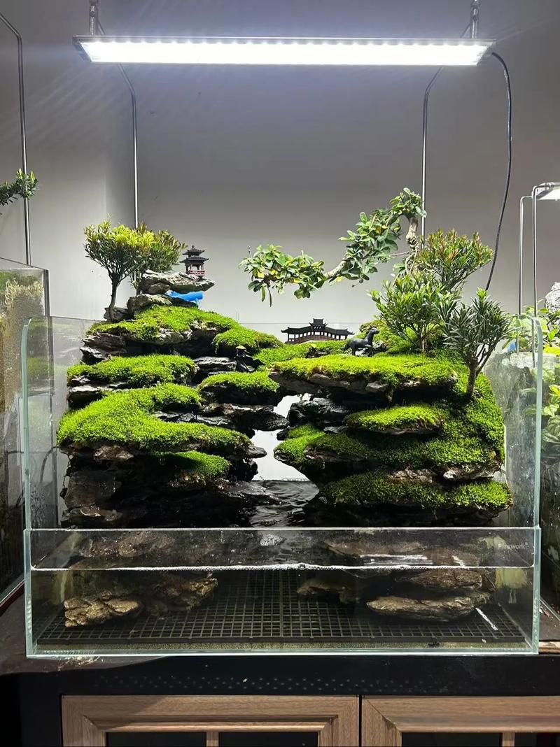 风水鱼缸里摆放石头是否会影响其风水效果？