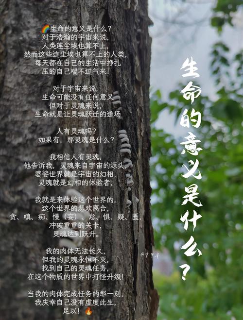生命的命可以改写为：生命的命究竟意味着什么？
