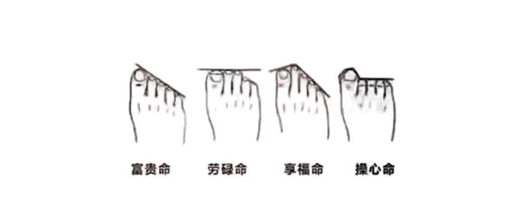 脚趾手指细长是什么命？脚上食指比大拇指长意味着什么？
