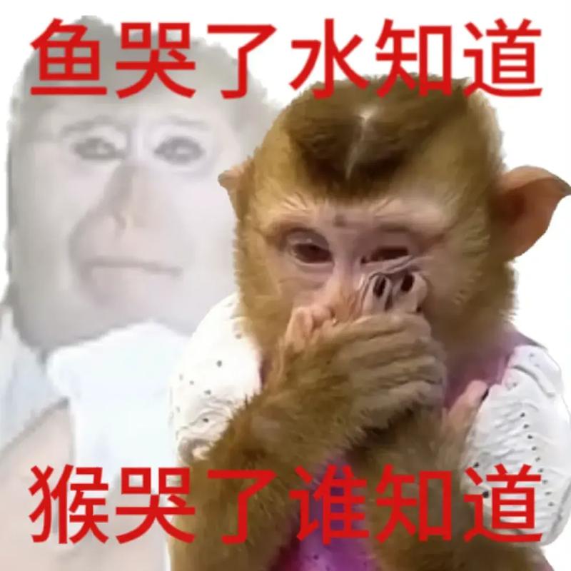 马娄的命也是命，改写为命也是缘缘也是命，这句话是什么意思？