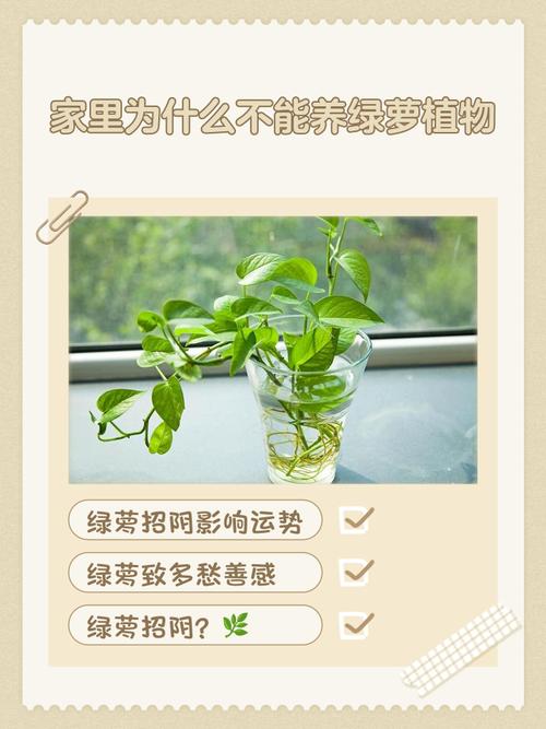 种植蔬菜在房屋后方是否会对家宅风水产生不良影响？