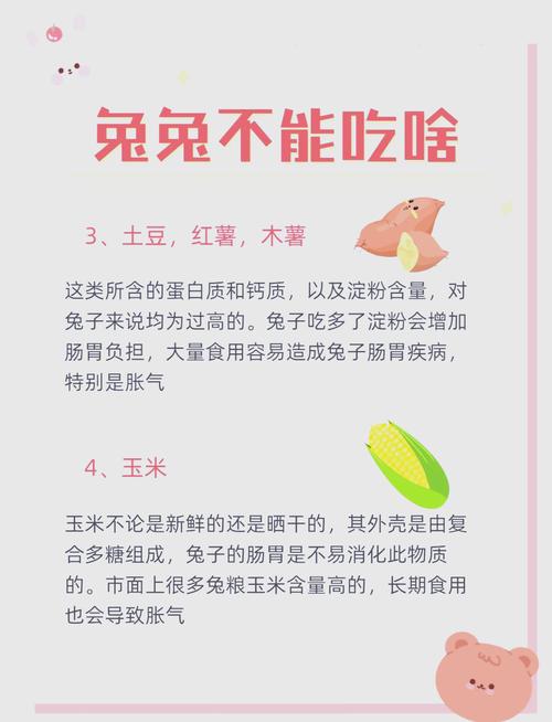 哪些命的人不嫩吃兔肉？兔肉有哪些食物忌讳？