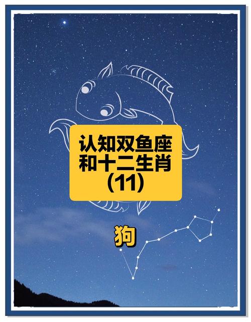 双鱼座的狗狗命运不佳，双鱼女命运却很美好，这是为什么呀？