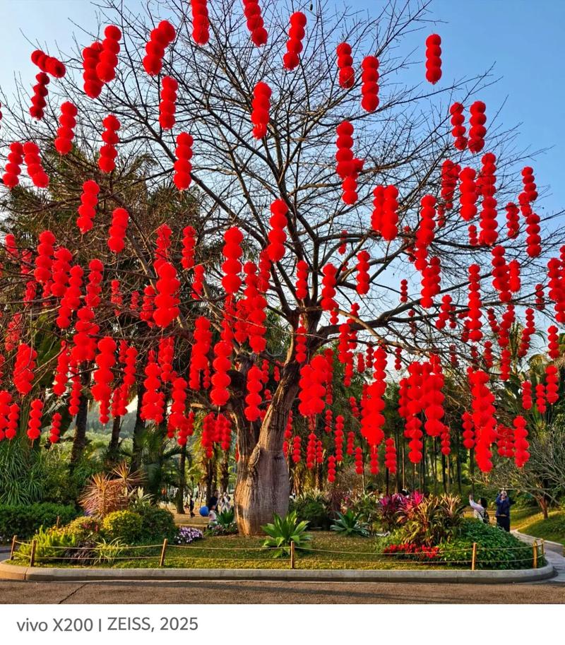 风水上，挂灯笼在树上是否会影响运势？