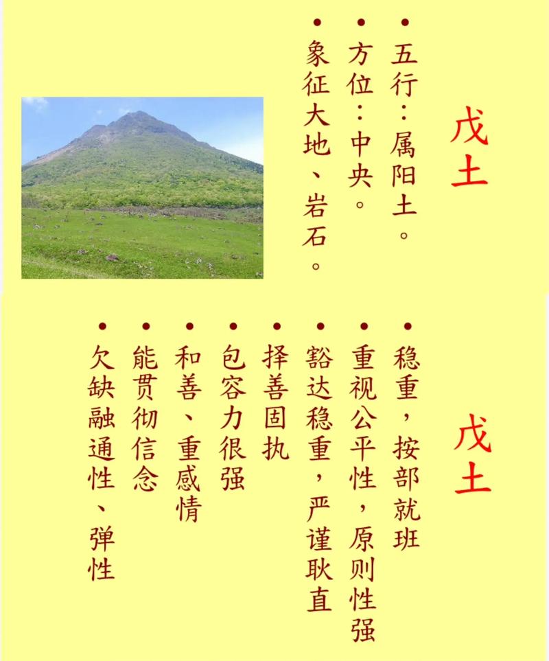 戊申年生土命缺什么，戊土和戊土相合吗？