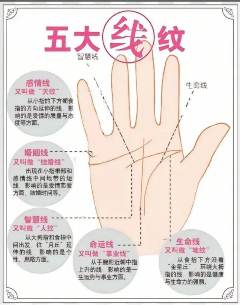 女生手细长，这样的命是不是特别好吗？