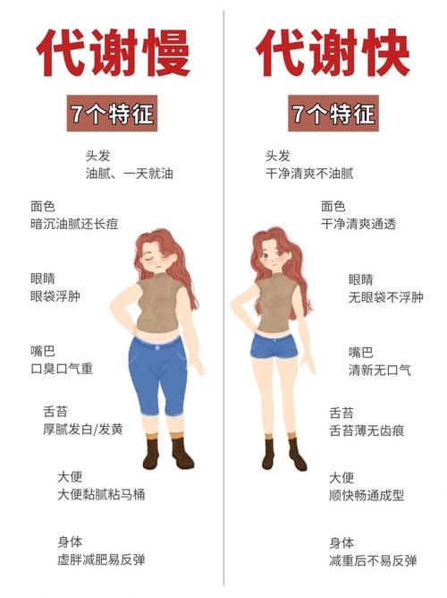 什么样的体质或命理适合拥有精瘦或瘦人的体型？