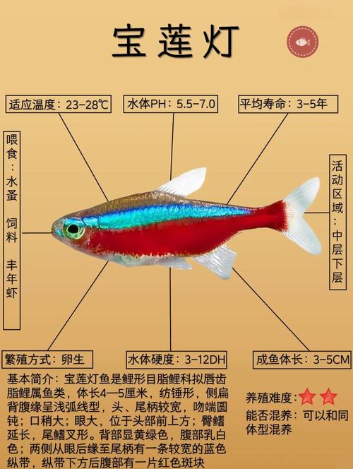 苹果剑鱼作为风水鱼，其寓意和作用究竟有何特别之处？